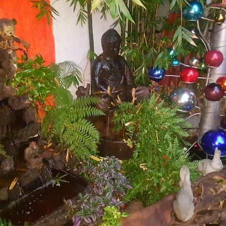 Mi Aldea Holistica Ξενοδοχείο Μεξικό Εξωτερικό φωτογραφία