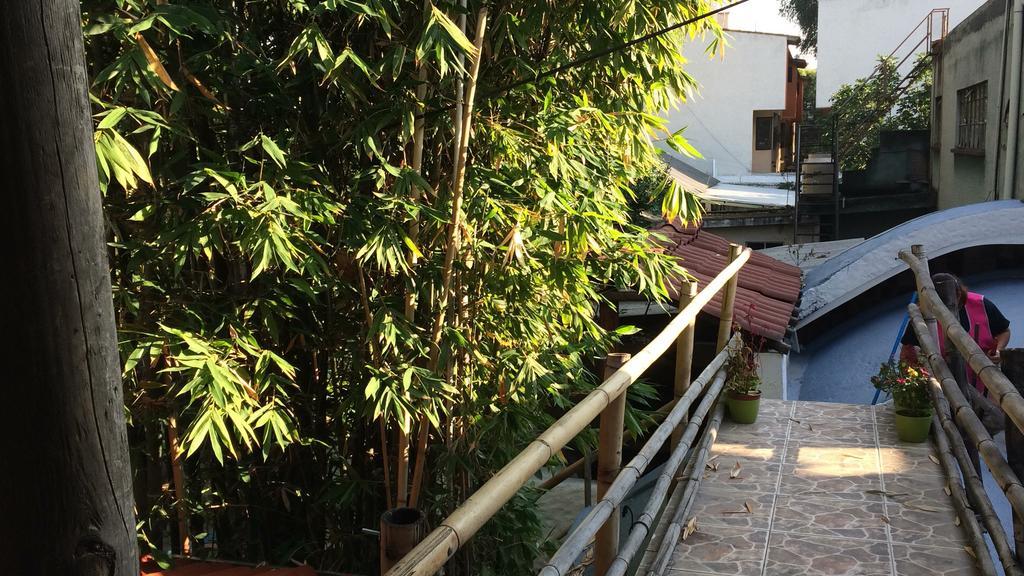 Mi Aldea Holistica Ξενοδοχείο Μεξικό Εξωτερικό φωτογραφία