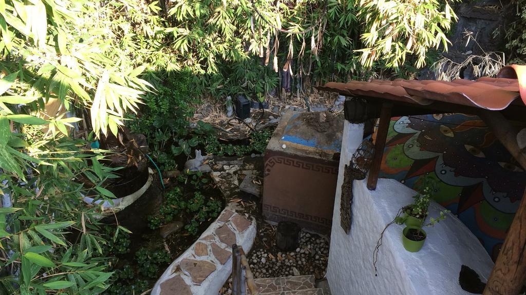 Mi Aldea Holistica Ξενοδοχείο Μεξικό Εξωτερικό φωτογραφία