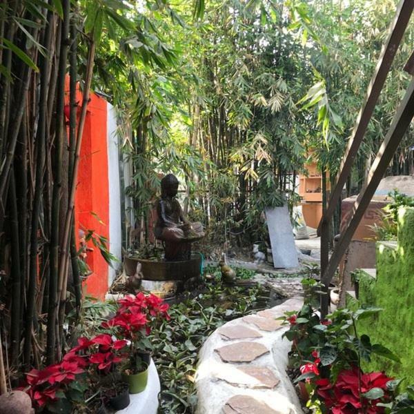 Mi Aldea Holistica Ξενοδοχείο Μεξικό Εξωτερικό φωτογραφία